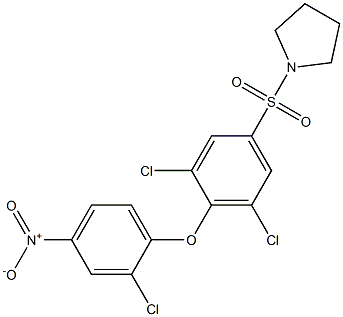 1-{[3,5-dichloro-4-(2-chloro-4-nitrophenoxy)phenyl]sulfonyl}pyrrolidine 结构式
