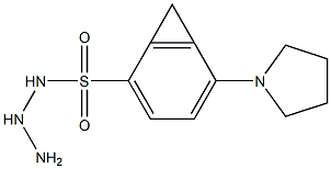 N1-hydrazino(tetrahydro-1H-pyrrol-1-yl)methylidenebenzene-1-sulfonamide 结构式