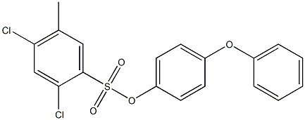 4-phenoxyphenyl 2,4-dichloro-5-methylbenzene-1-sulfonate 结构式