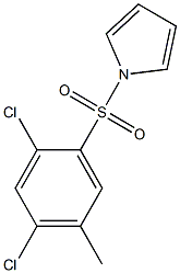 1-[(2,4-dichloro-5-methylphenyl)sulfonyl]-1H-pyrrole 结构式