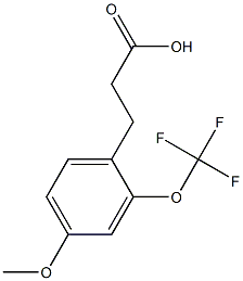 3-(4-methoxy-2-(trifluoromethoxy)phenyl)propanoic acid 结构式