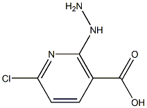 6-chloro-2-hydrazinylnicotinic acid 结构式