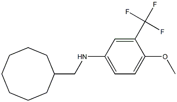 N-(cyclooctylmethyl)-3-(trifluoromethyl)-4-methoxybenzenamine 结构式