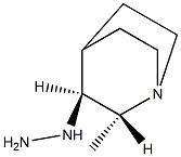 trans-(2-Methyl-1-aza-bicyclo[2.2.2]oct-3-yl)-hydrazine 结构式