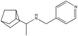 (1-{bicyclo[2.2.1]heptan-2-yl}ethyl)(pyridin-4-ylmethyl)amine 结构式
