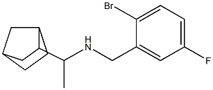 (1-{bicyclo[2.2.1]heptan-2-yl}ethyl)[(2-bromo-5-fluorophenyl)methyl]amine 结构式