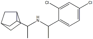 (1-{bicyclo[2.2.1]heptan-2-yl}ethyl)[1-(2,4-dichlorophenyl)ethyl]amine 结构式