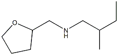 (2-methylbutyl)(oxolan-2-ylmethyl)amine 结构式