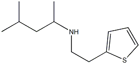 (4-methylpentan-2-yl)[2-(thiophen-2-yl)ethyl]amine 结构式