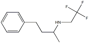 (4-phenylbutan-2-yl)(2,2,2-trifluoroethyl)amine 结构式