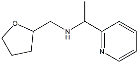 (oxolan-2-ylmethyl)[1-(pyridin-2-yl)ethyl]amine 结构式