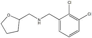 [(2,3-dichlorophenyl)methyl](oxolan-2-ylmethyl)amine 结构式