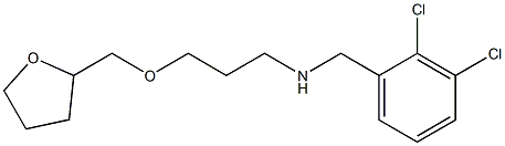 [(2,3-dichlorophenyl)methyl][3-(oxolan-2-ylmethoxy)propyl]amine 结构式