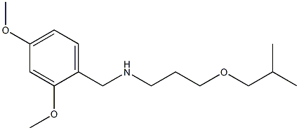 [(2,4-dimethoxyphenyl)methyl][3-(2-methylpropoxy)propyl]amine 结构式