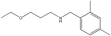 [(2,4-dimethylphenyl)methyl](3-ethoxypropyl)amine 结构式