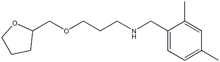 [(2,4-dimethylphenyl)methyl][3-(oxolan-2-ylmethoxy)propyl]amine 结构式