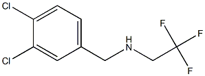 [(3,4-dichlorophenyl)methyl](2,2,2-trifluoroethyl)amine 结构式