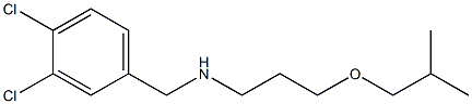 [(3,4-dichlorophenyl)methyl][3-(2-methylpropoxy)propyl]amine 结构式