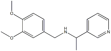 [(3,4-dimethoxyphenyl)methyl][1-(pyridin-3-yl)ethyl]amine 结构式