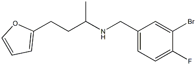 [(3-bromo-4-fluorophenyl)methyl][4-(furan-2-yl)butan-2-yl]amine 结构式