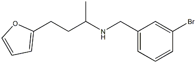 [(3-bromophenyl)methyl][4-(furan-2-yl)butan-2-yl]amine 结构式