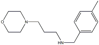 [(4-methylphenyl)methyl][3-(morpholin-4-yl)propyl]amine 结构式