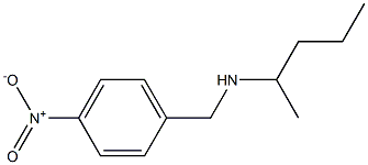 [(4-nitrophenyl)methyl](pentan-2-yl)amine 结构式