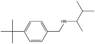 [(4-tert-butylphenyl)methyl](3-methylbutan-2-yl)amine 结构式