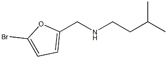 [(5-bromofuran-2-yl)methyl](3-methylbutyl)amine 结构式