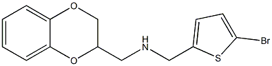 [(5-bromothiophen-2-yl)methyl](2,3-dihydro-1,4-benzodioxin-2-ylmethyl)amine 结构式