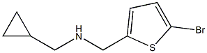 [(5-bromothiophen-2-yl)methyl](cyclopropylmethyl)amine 结构式