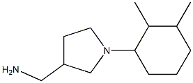 [1-(2,3-dimethylcyclohexyl)pyrrolidin-3-yl]methylamine 结构式
