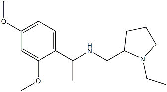 [1-(2,4-dimethoxyphenyl)ethyl][(1-ethylpyrrolidin-2-yl)methyl]amine 结构式