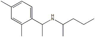 [1-(2,4-dimethylphenyl)ethyl](pentan-2-yl)amine 结构式