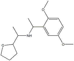 [1-(2,5-dimethoxyphenyl)ethyl][1-(oxolan-2-yl)ethyl]amine 结构式