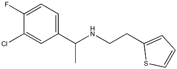 [1-(3-chloro-4-fluorophenyl)ethyl][2-(thiophen-2-yl)ethyl]amine 结构式