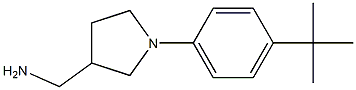 [1-(4-tert-butylphenyl)pyrrolidin-3-yl]methylamine 结构式