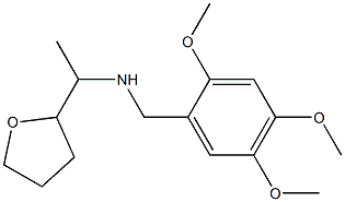 [1-(oxolan-2-yl)ethyl][(2,4,5-trimethoxyphenyl)methyl]amine 结构式