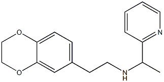 [2-(2,3-dihydro-1,4-benzodioxin-6-yl)ethyl][1-(pyridin-2-yl)ethyl]amine 结构式