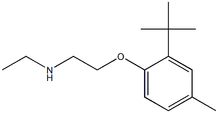 [2-(2-tert-butyl-4-methylphenoxy)ethyl](ethyl)amine 结构式