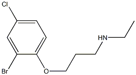 [3-(2-bromo-4-chlorophenoxy)propyl](ethyl)amine 结构式