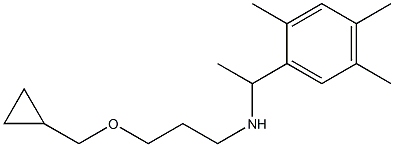 [3-(cyclopropylmethoxy)propyl][1-(2,4,5-trimethylphenyl)ethyl]amine 结构式