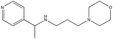 [3-(morpholin-4-yl)propyl][1-(pyridin-4-yl)ethyl]amine 结构式