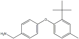 [4-(2-tert-butyl-4-methylphenoxy)phenyl]methanamine 结构式