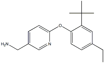 [6-(2-tert-butyl-4-ethylphenoxy)pyridin-3-yl]methanamine 结构式
