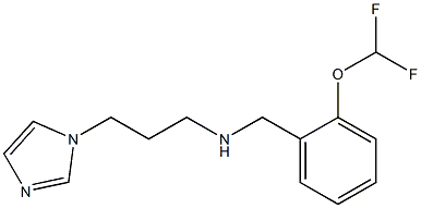 {[2-(difluoromethoxy)phenyl]methyl}[3-(1H-imidazol-1-yl)propyl]amine 结构式