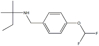 {[4-(difluoromethoxy)phenyl]methyl}(2-methylbutan-2-yl)amine 结构式