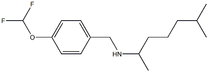 {[4-(difluoromethoxy)phenyl]methyl}(6-methylheptan-2-yl)amine 结构式