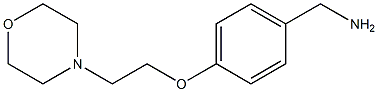 {4-[2-(morpholin-4-yl)ethoxy]phenyl}methanamine 结构式