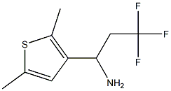 1-(2,5-dimethylthiophen-3-yl)-3,3,3-trifluoropropan-1-amine 结构式